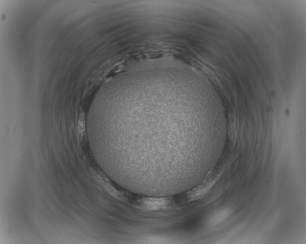 X0000087640085200705241250