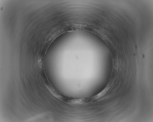 X0000087640086200705241250