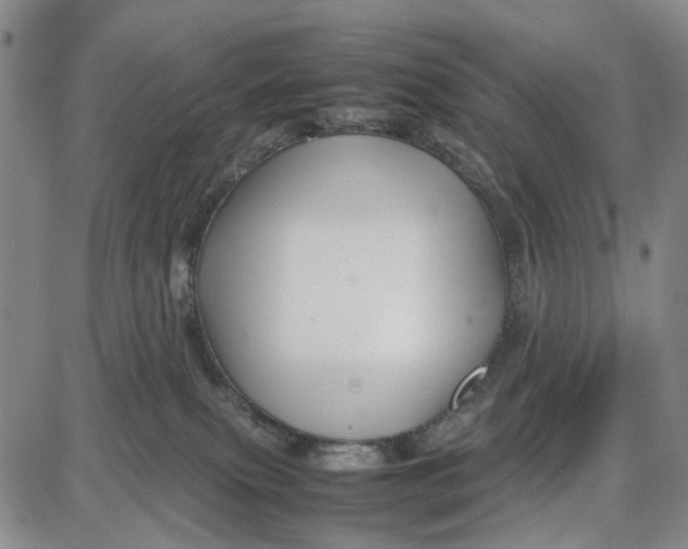 X0000087640087200705241250