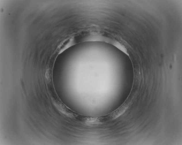 X0000087640088200705241250