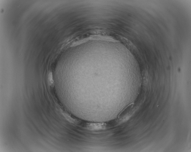 X0000087640089200705241250