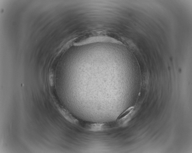 X0000087640090200705241250