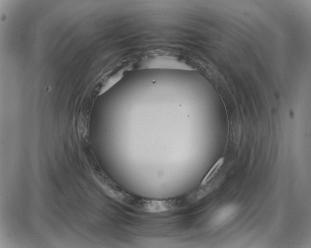 X0000087640091200705241250