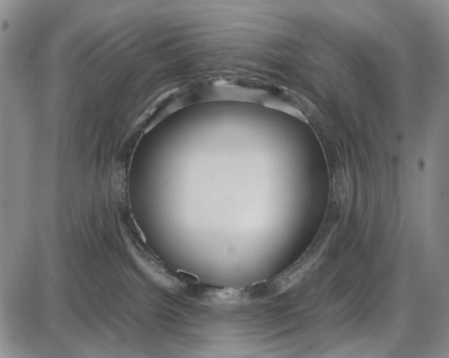 X0000087640092200705241250