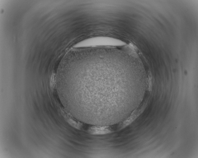 X0000087640093200705241250