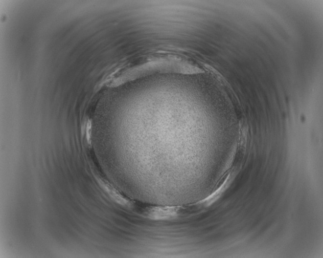 X0000087640094200705241250