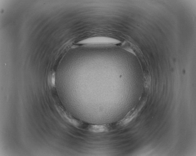 X0000087640095200705241250