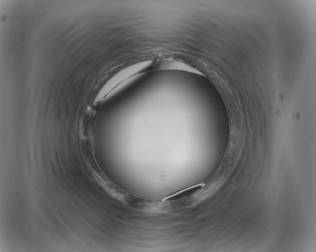 X0000087640096200705241250