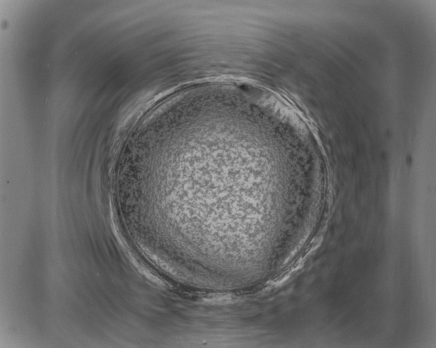 X0000087640097200705241250