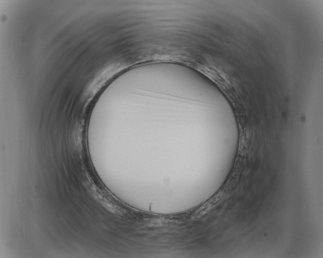 X0000087640098200705241250