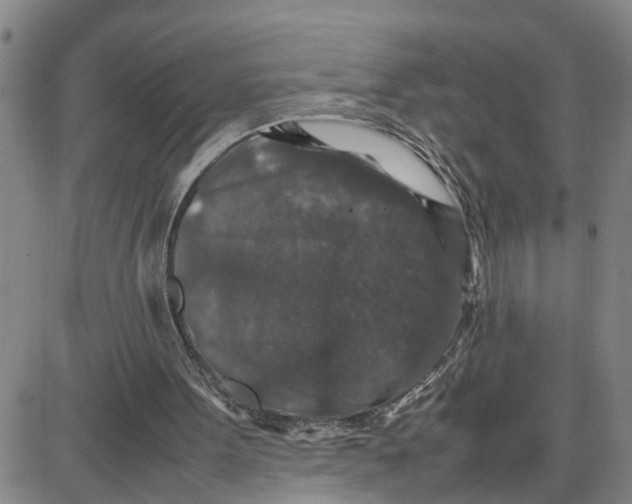 X0000087640099200705241250