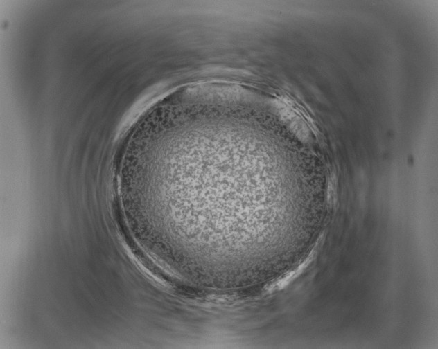 X0000087640101200705241250