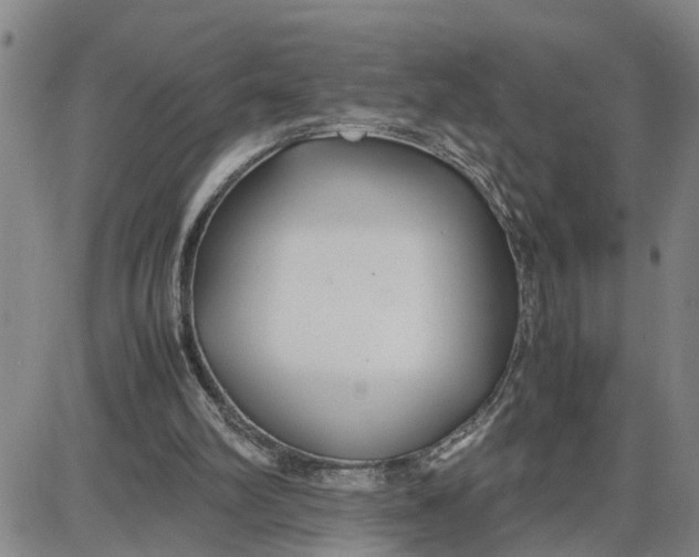 X0000087640102200705241250