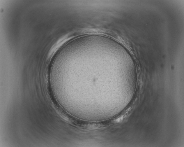 X0000087640103200705241250