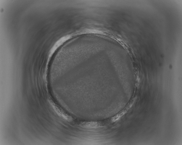 X0000087640104200705241250