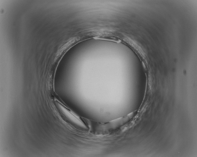 X0000087640105200705241249