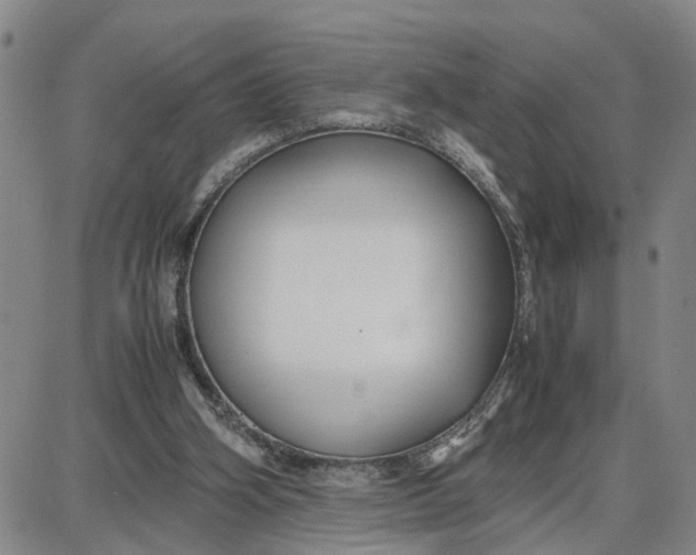 X0000087640106200705241249