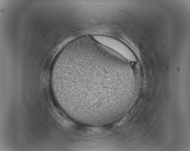 X0000087640107200705241249