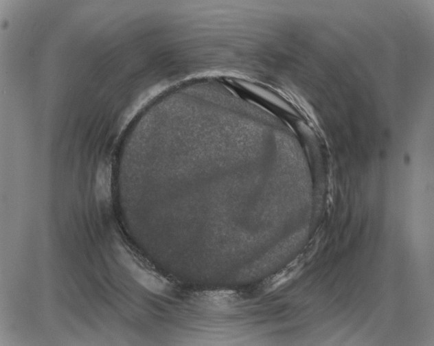 X0000087640108200705241249