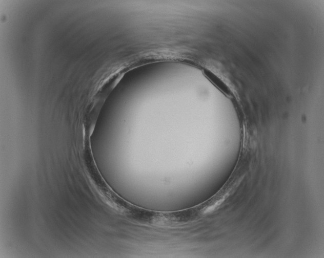 X0000087640109200705241249