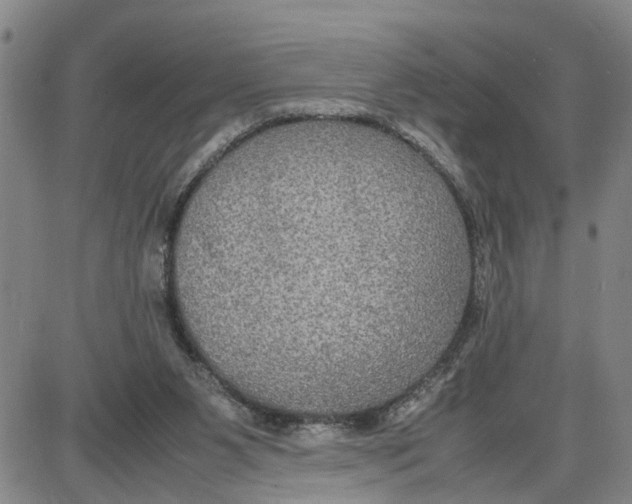 X0000087640111200705241249