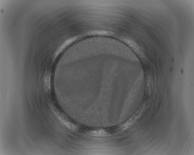 X0000087640112200705241249