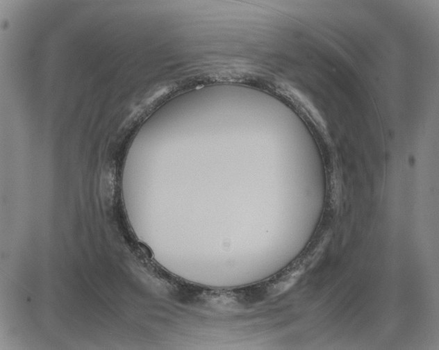 X0000087640113200705241249