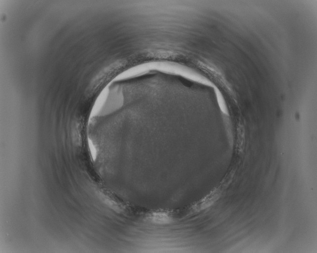 X0000087640114200705241249