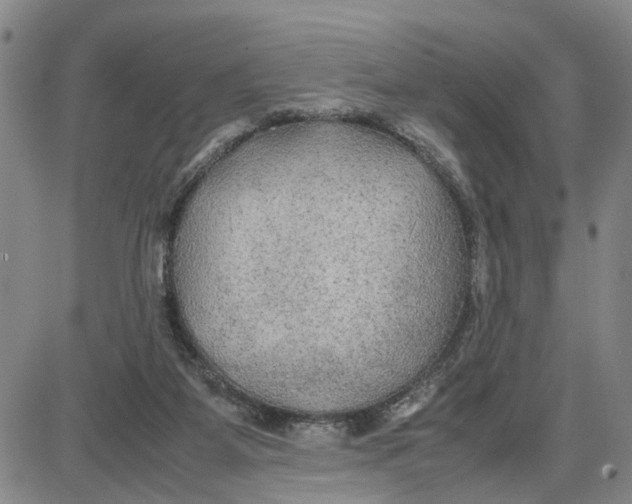 X0000087640115200705241249