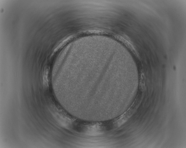 X0000087640116200705241249