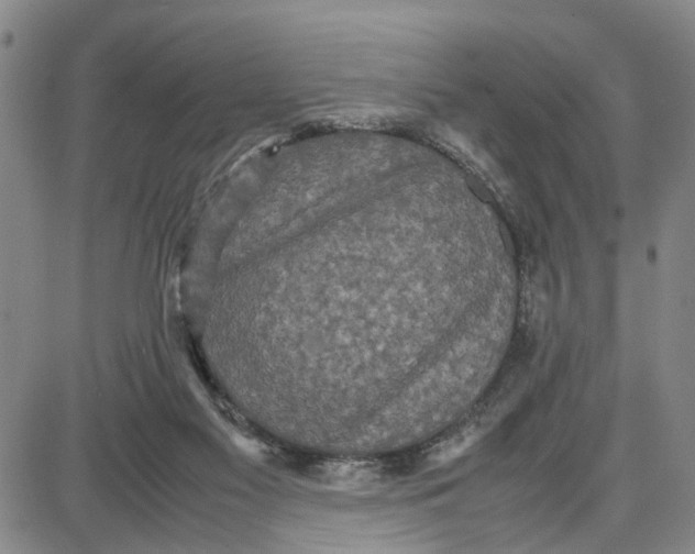 X0000087640117200705241249