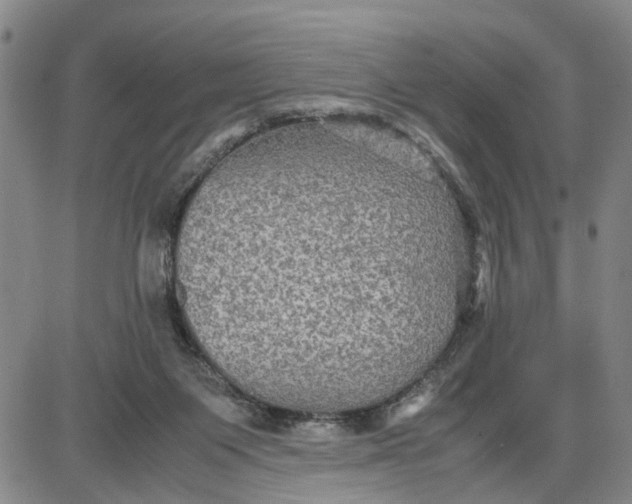 X0000087640119200705241249