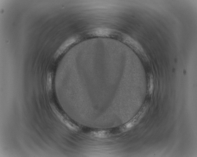 X0000087640120200705241249