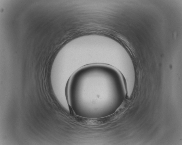 X0000087640121200705241249