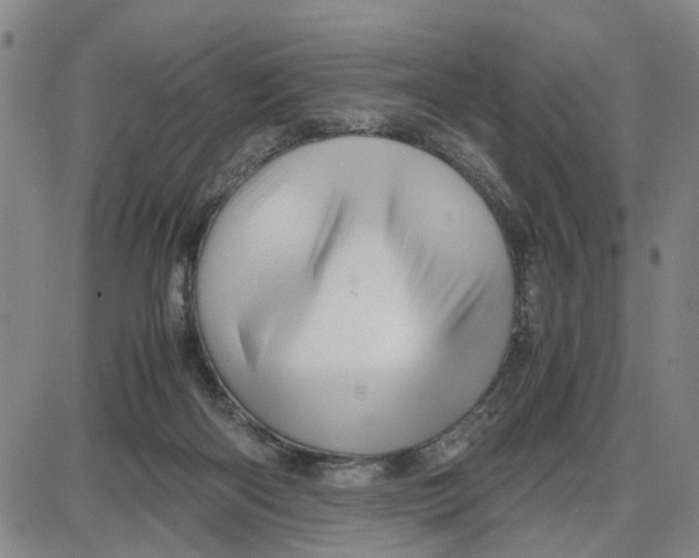 X0000087640122200705241249