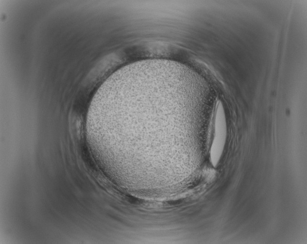 X0000087640123200705241249