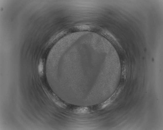 X0000087640124200705241249