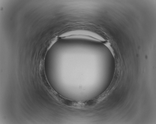 X0000087640125200705241249