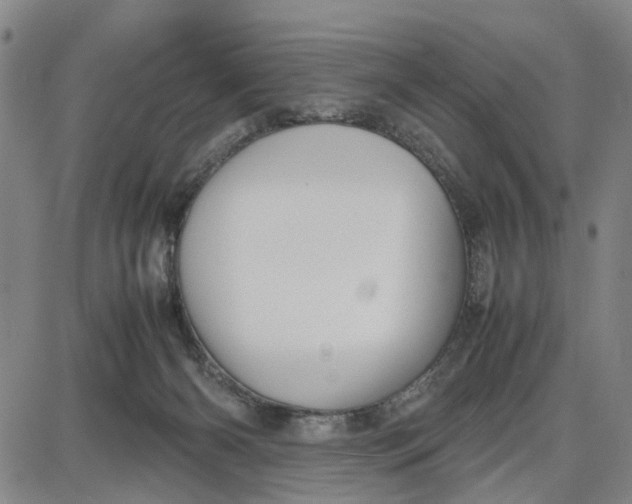 X0000087640126200705241249