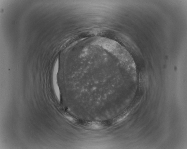 X0000087640127200705241249