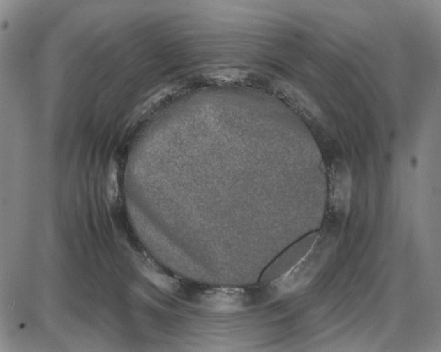 X0000087640128200705241249