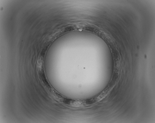 X0000087640129200705241249