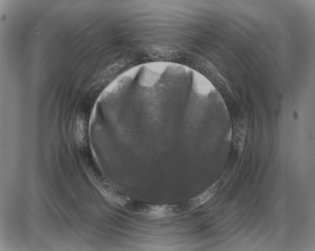 X0000087640130200705241249