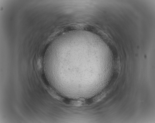 X0000087640131200705241249