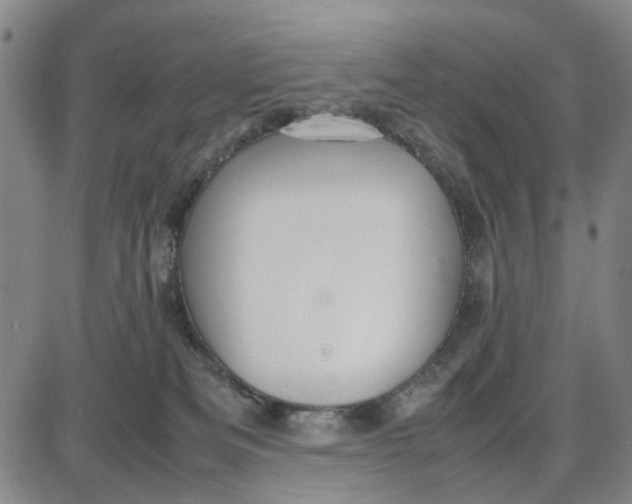 X0000087640133200705241249