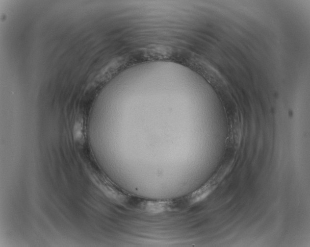 X0000087640134200705241249