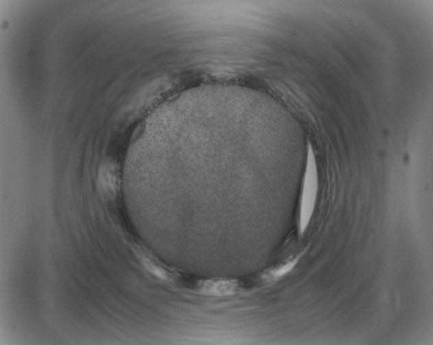 X0000087640135200705241249