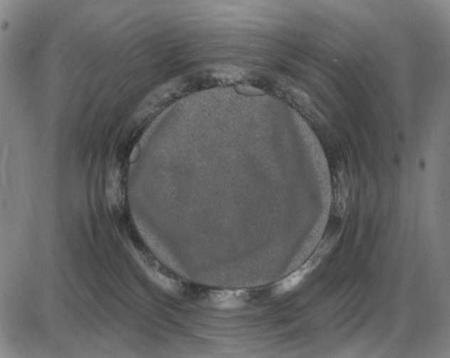 X0000087640136200705241249