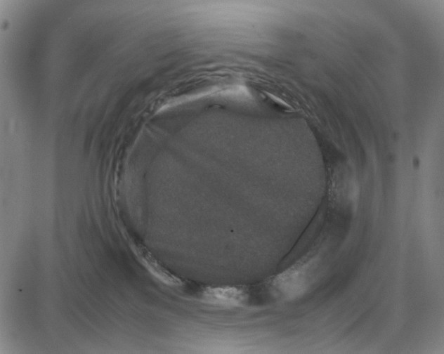 X0000087640137200705241249