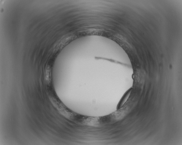 X0000087640138200705241249